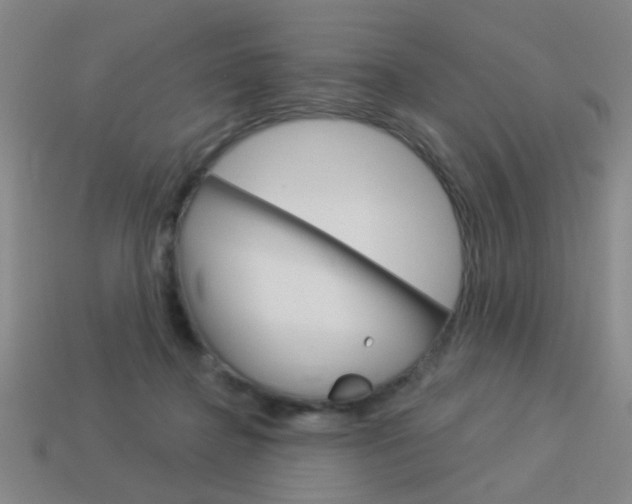 X0000113980364200910020954