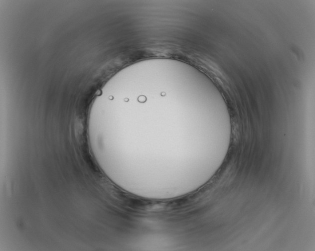 X0000113980365200910020954