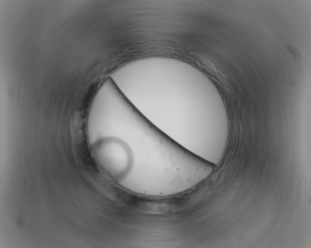 X0000113980366200910020954