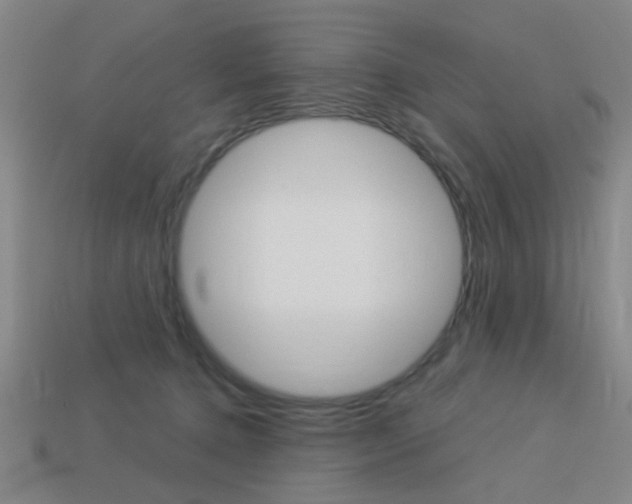 X0000113980368200910020954