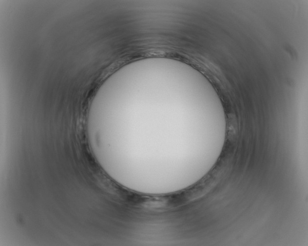 X0000113980369200910020954