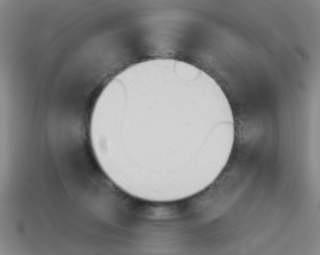X0000113980370200910020954