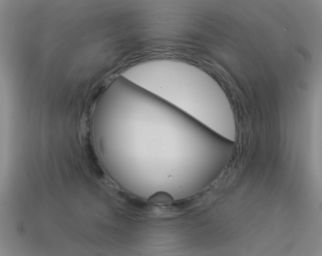 X0000113980372200910020954