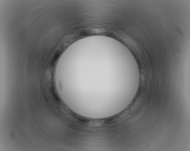 X0000113980373200910020954