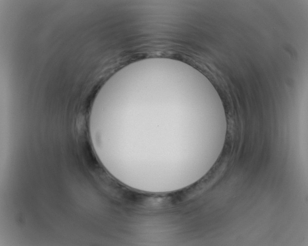 X0000113980375200910020954