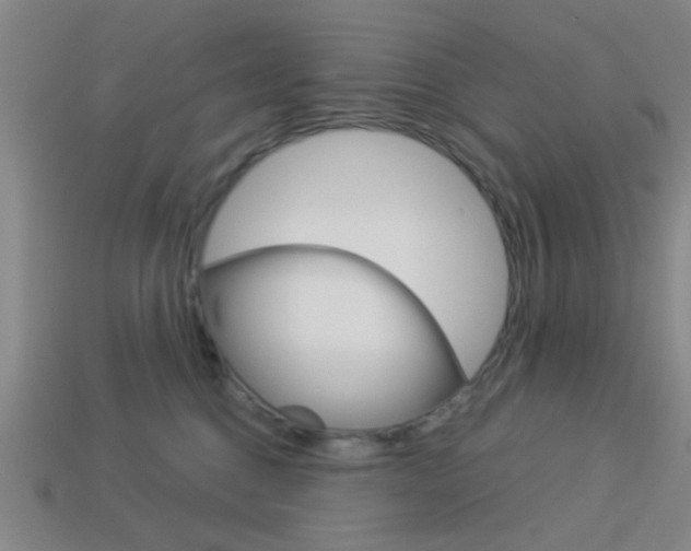 X0000113980376200910020954