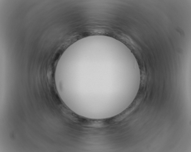 X0000113980377200910020954