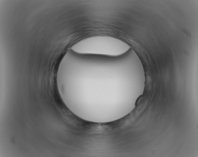 X0000113980379200910020954