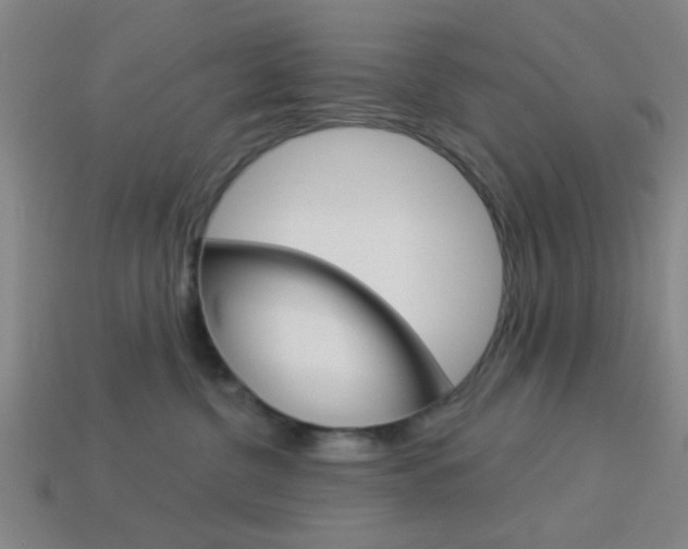 X0000113980380200910020954