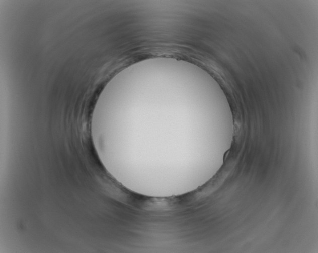 X0000113980381200910020954