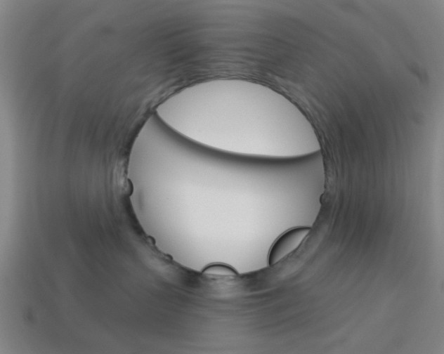 X0000113980383200910020954