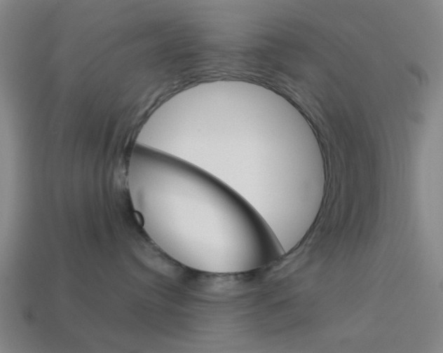 X0000113980384200910020954