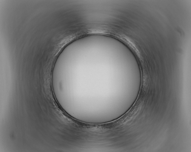 X0000113980385200910020953
