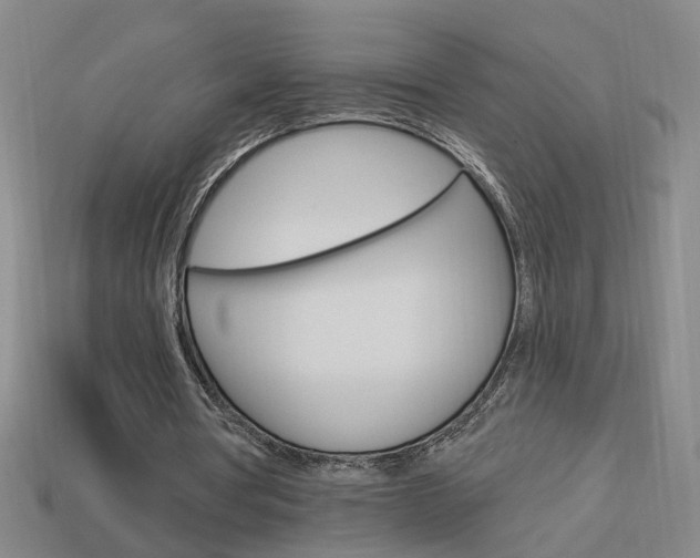 X0000113980386200910020953