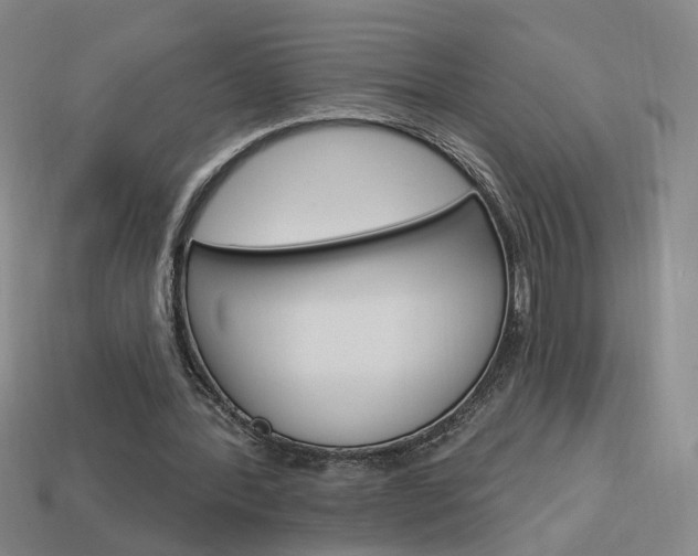 X0000113980388200910020953