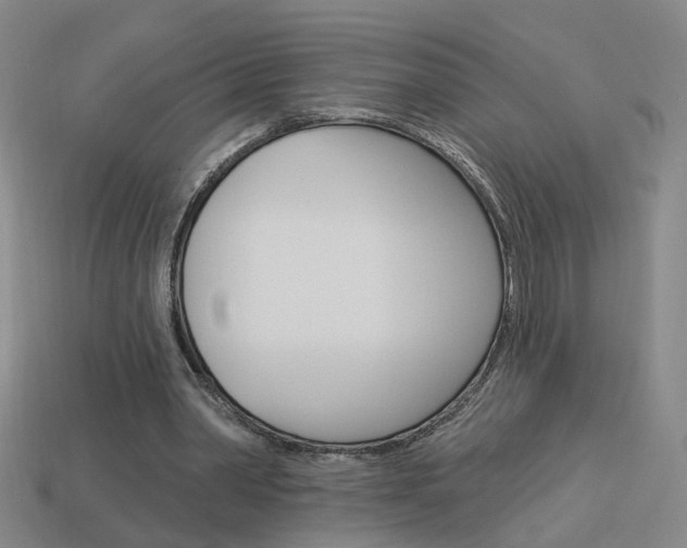 X0000113980390200910020953