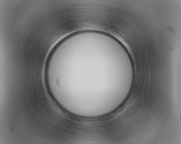 X0000113980391200910020953