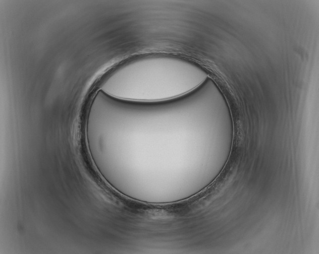 X0000113980392200910020953
