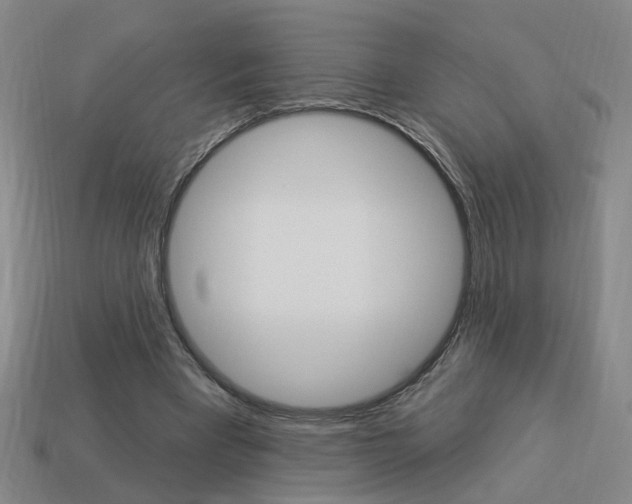 X0000113980393200910020953