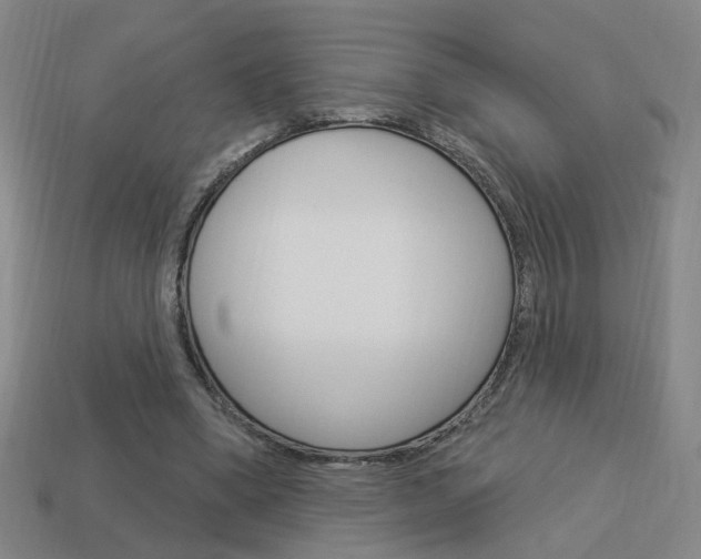 X0000113980394200910020953