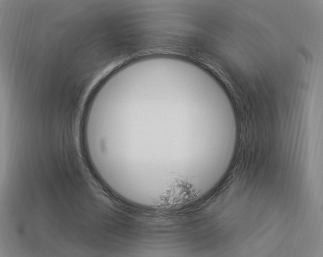 X0000113980395200910020953