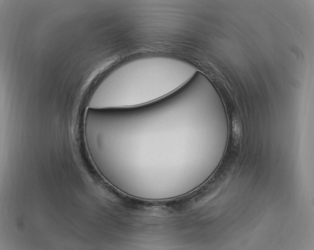 X0000113980396200910020953