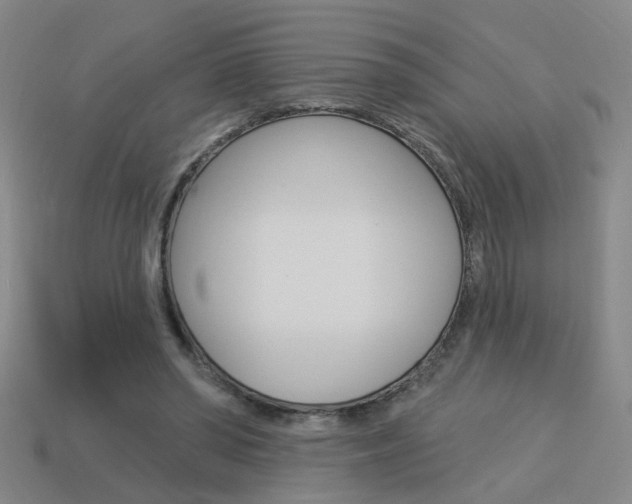 X0000113980398200910020953