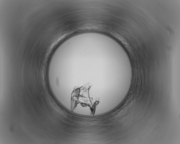 X0000113980399200910020953