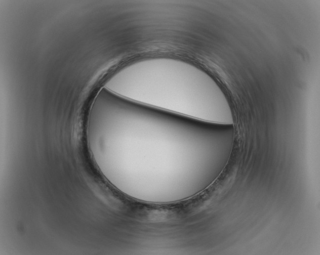 X0000113980400200910020953