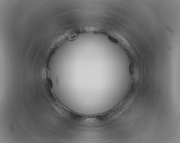 X0000113980401200910020953