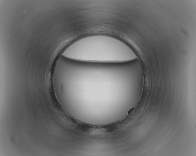 X0000113980403200910020953