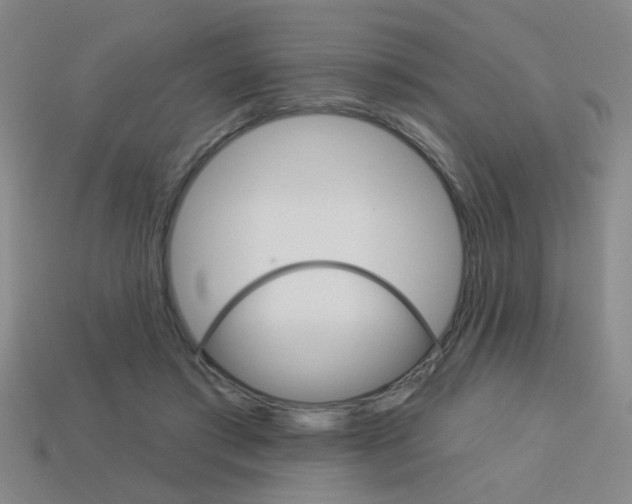X0000113980405200910020953
