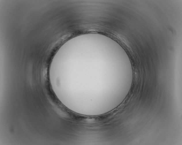 X0000113980406200910020953