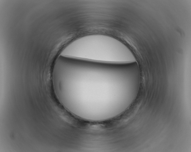 X0000113980407200910020953