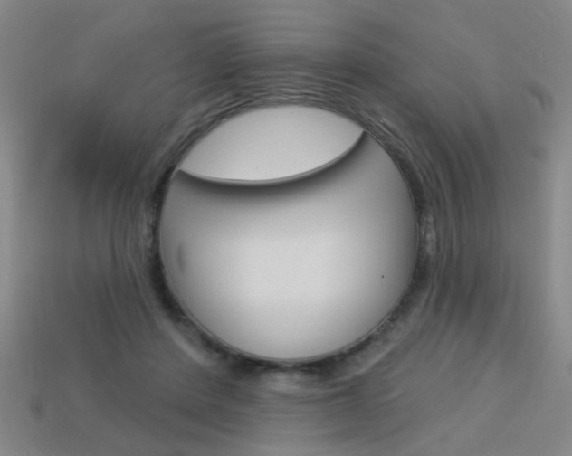 X0000113980408200910020953