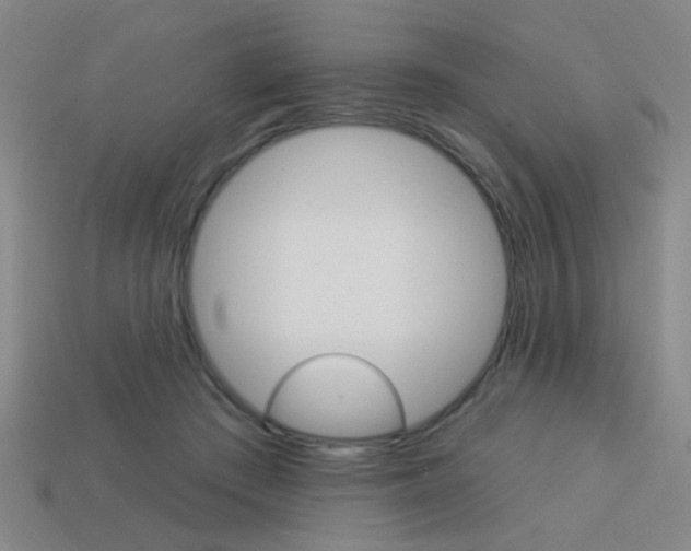 X0000113980409200910020953