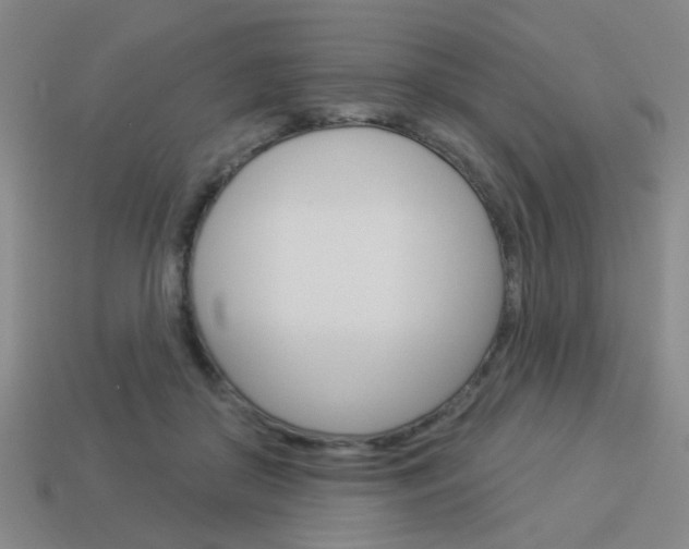 X0000113980410200910020953