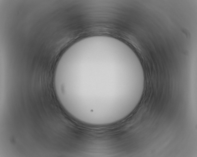 X0000113980411200910020953