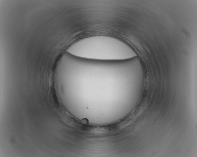 X0000113980413200910020953