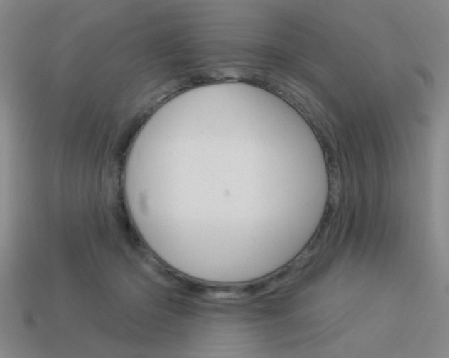 X0000113980414200910020953