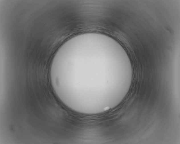 X0000113980415200910020953
