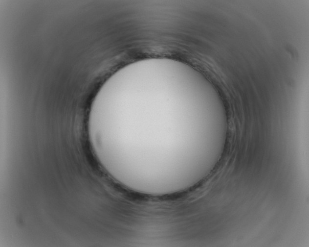 X0000113980416200910020953