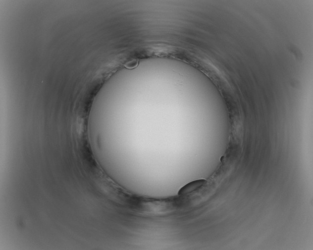 X0000113980417200910020953