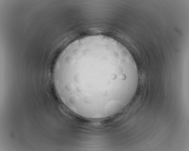 X0000113980418200910020953