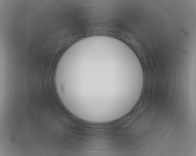 X0000113980419200910020953