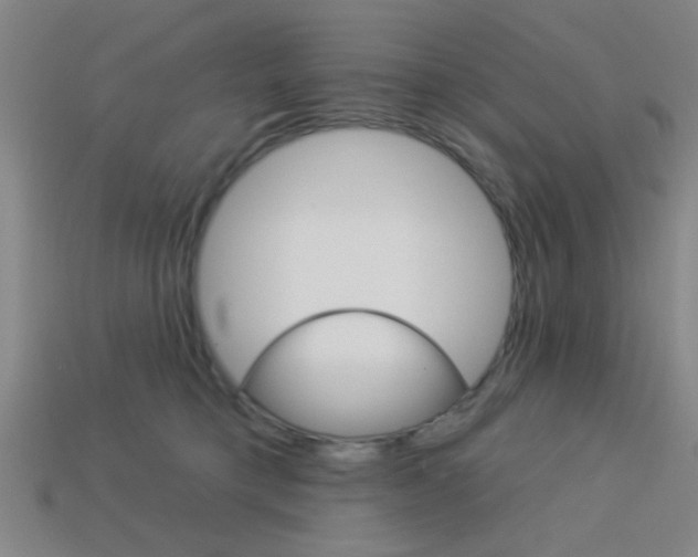 X0000113980421200910020953