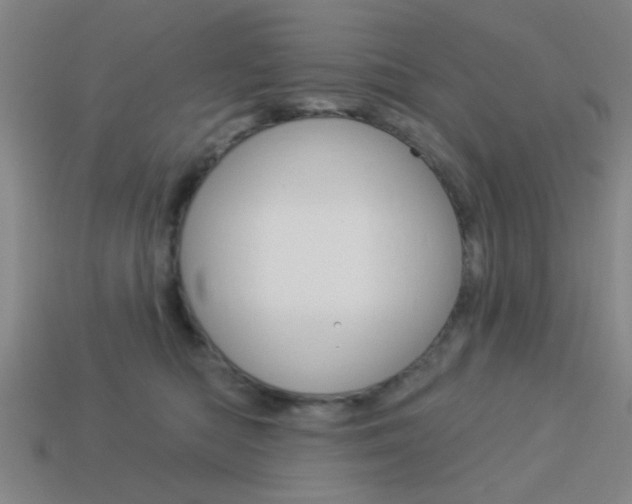 X0000113980422200910020953