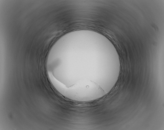 X0000113980423200910020953