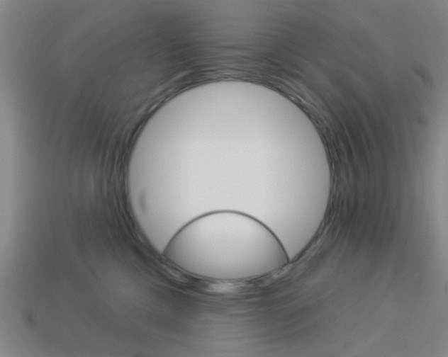X0000113980425200910020953