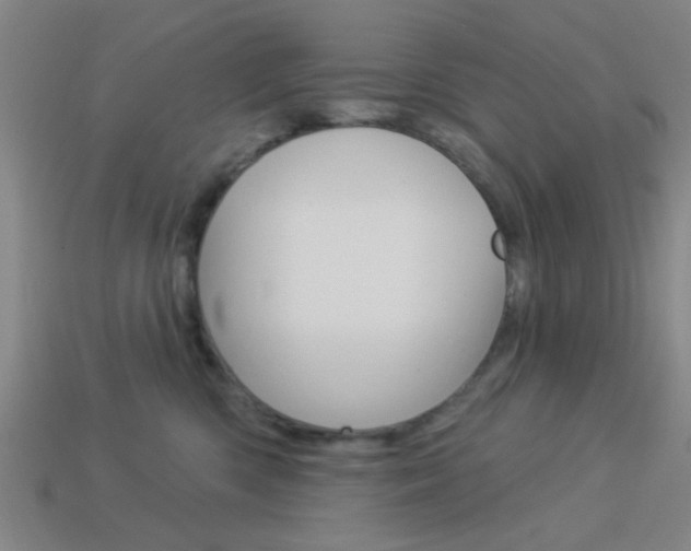 X0000113980426200910020953